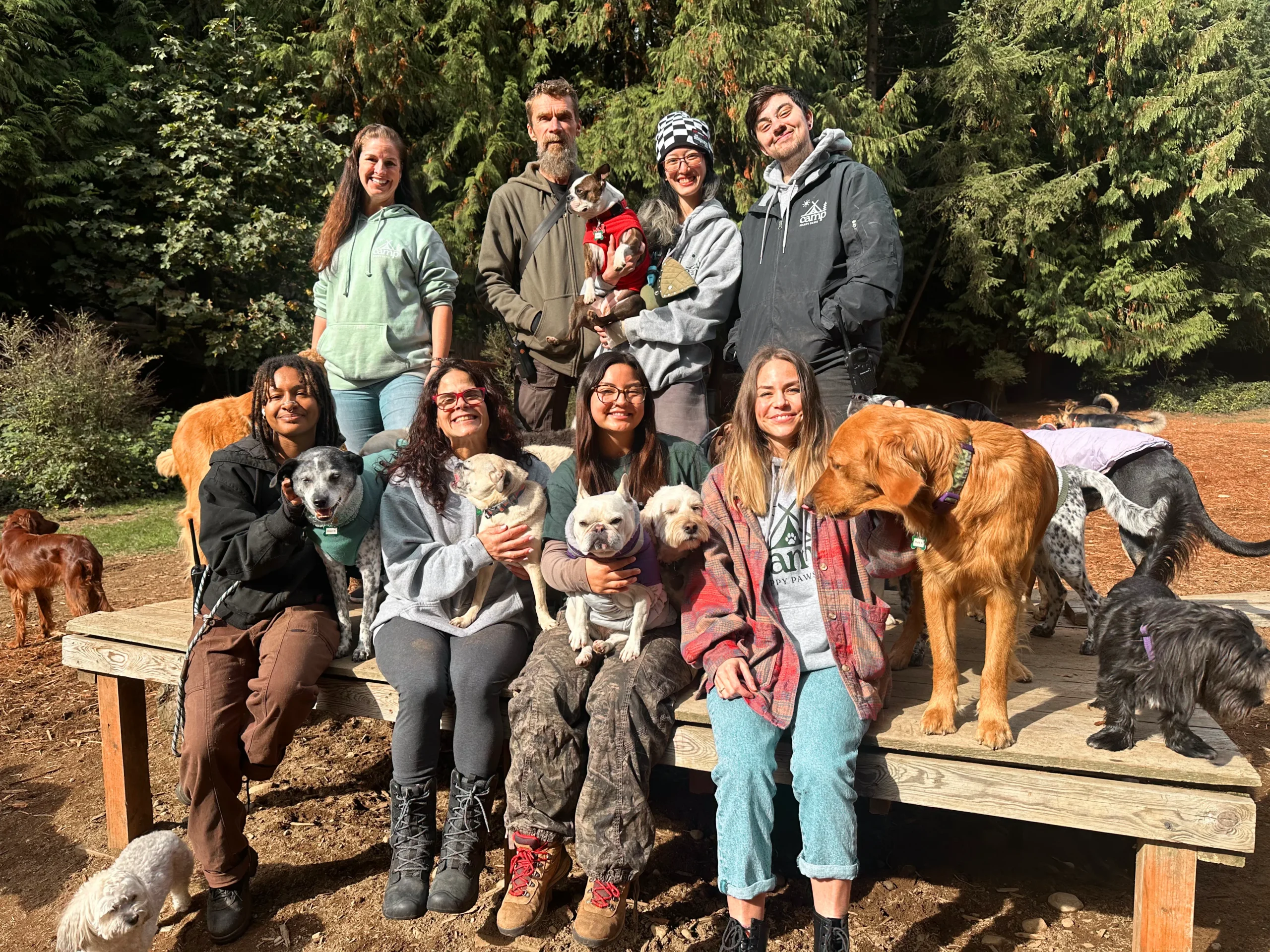 Camp Happy Paws team standing together on an outdoor play structure surrounded by happy dogs in the play yard